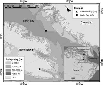 Influence of Deep-Water Corals and Sponge Gardens on Infaunal Community Composition and Ecosystem Functioning in the Eastern Canadian Arctic